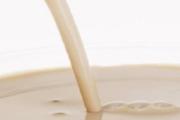 糯米豆浆怎么做好吃 糯米豆浆的做法和配方