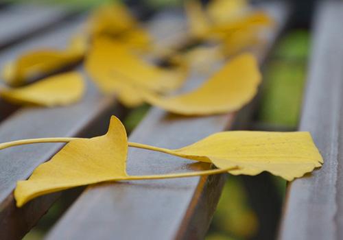 18年立秋是早秋还是晚秋 时间在上午还是下午 乐哈健康网