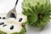 释迦果和番荔枝一样吗 番荔枝有什么食用禁忌