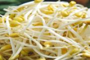 黄豆芽放冰箱里面几天还能吃吗 黄豆芽能冷冻保存吗