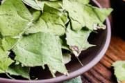 荷叶茶为什么不能长期喝 荷叶茶喝多久可以起到减肥效果