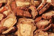 丹参来月经可以吃吗 月经量少有异味怎么回事