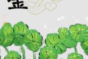 金钱草和车前草一起泡水喝的功效 金钱草和车前草有什么区别