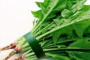 冬天吃什么菜好