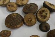 枳实的功效与作用