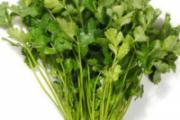 香菜有什么功效 吃香菜的好处