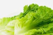 经期能吃生菜吗