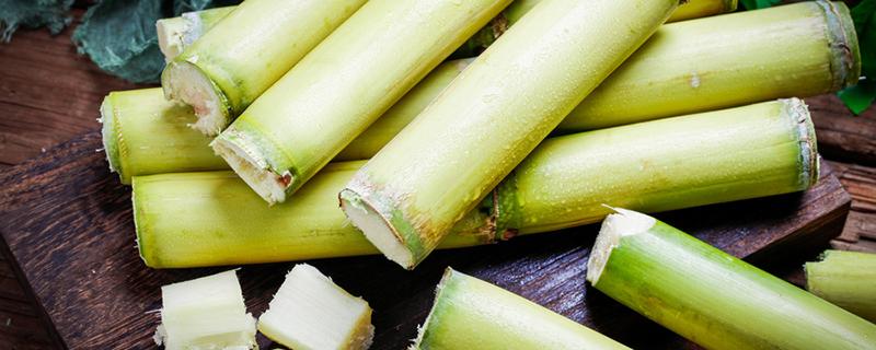 甘蔗放在微波炉里烤一烤会变3甘蔗可以怎么吃甘蔗-鱼笋 :《本草纲目》