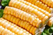 糯玉米和甜玉米哪个热量高 减肥甜玉米还是糯玉米好
