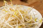 绿豆芽不熟可以吃吗 绿豆芽生吃有毒吗