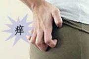 肛门湿疹的症状