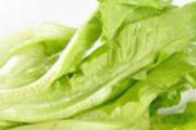生菜为什么会苦