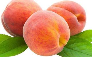 桃和鱼可以一起吃吗