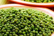 夏季养生吃什么好 夏天多吃它，万病之源全趴下！