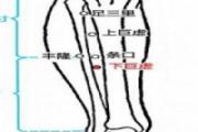 上巨虚和下巨虚位置图 上巨虚和下巨虚的区别