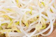绿豆芽不能和什么一起吃 绿豆芽降血糖吗