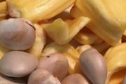 菠萝蜜粘液怎么洗掉 孕妇可以吃菠萝蜜吗