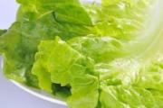 春天吃什么蔬菜 这13种营养又健康