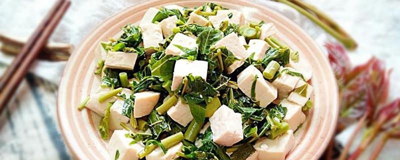 豆腐可以放冰箱保存吗 豆腐可以放冰箱保存几天 乐哈健康网