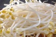免疫力差吃什么好 这些食物多吃点