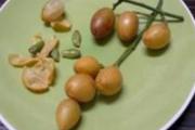 黄皮果怎么保存