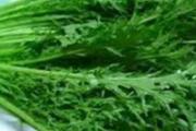 雪里红的营养价值