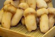 松茸不能和什么一起吃