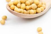 黄豆打豆浆可以下奶吗 哺乳期能天天喝豆浆吗