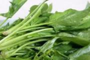 女性想怀孕吃哪些食物 想生育女性的饮食要点