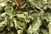 荨麻疹能用艾叶擦洗吗 小孩荨麻疹可以用艾叶洗澡吗