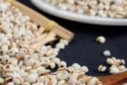 薏仁米怎么吃除湿效果最好 薏仁米连续吃多久才有除湿效果