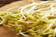 黄豆芽没炒熟有毒吗 什么样的豆芽有毒