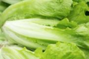生菜怎么吃最有营养 生菜里真会有寄生虫吗