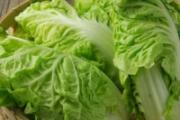 吃白菜有什么好处 常吃白菜好处居然这么多