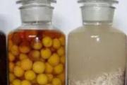 喝药酒的禁忌 8类病患不宜喝药酒