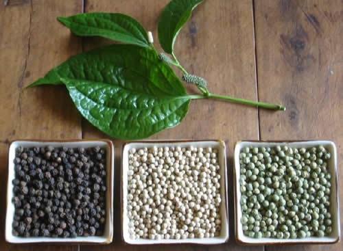 胡椒是花椒吗 胡椒和花椒的口感区别 乐哈健康网