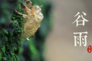谷雨节气养生常识