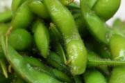 吃毛豆能喝啤酒吗 毛豆什么人不能吃