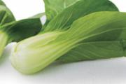 油菜是热性还是凉性