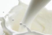 生牛乳能直接做酸奶吗 纯牛奶和鲜牛奶做酸奶的区别