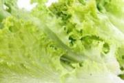 生菜吃了有什么好处 生菜的适用人群与禁忌人群