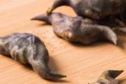菱角长在泥里还是水里 菱角是怎么长的