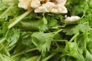 苦菊不能与什么同食 苦菊的饮食禁忌