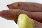 红薯不能与什么同食 红薯跟什么不能一起吃