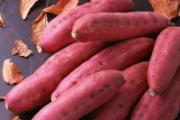 冬天吃什么食物不怕冷 这3种暖身蔬菜助你保暖御寒