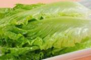 吃生菜可以减肥吗