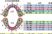 宝宝长牙顺序