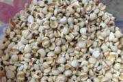 薏米为什么有霉味
