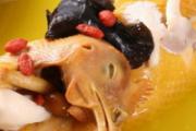孕妇能吃红参炖鸽子吗 经期能吃红参炖鸽子吗