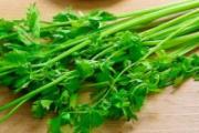 野生水芹菜有毒吗 野生水芹菜有蚂蝗吗